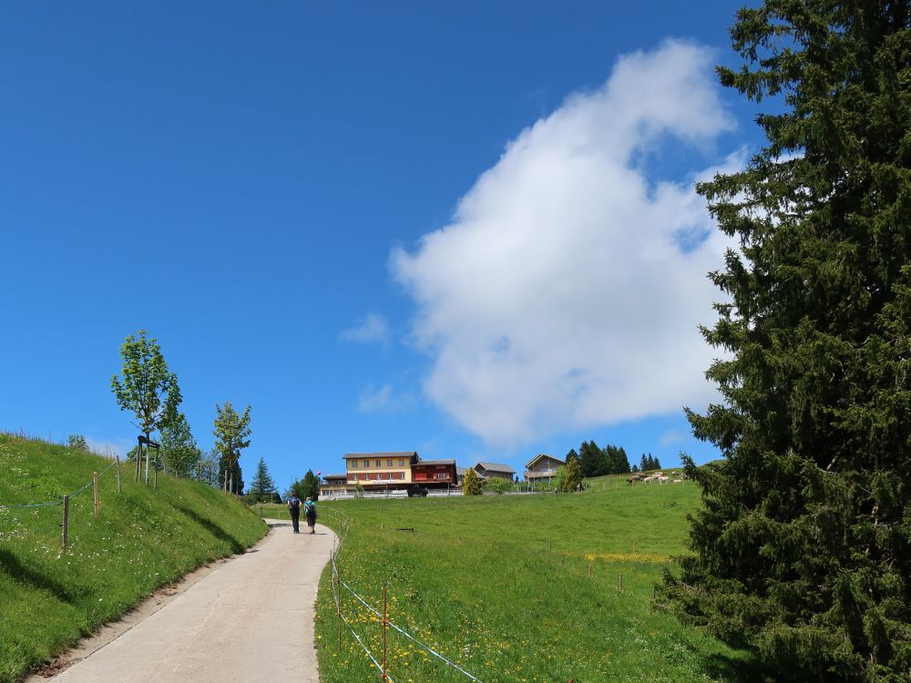 Hotel Rigi-First