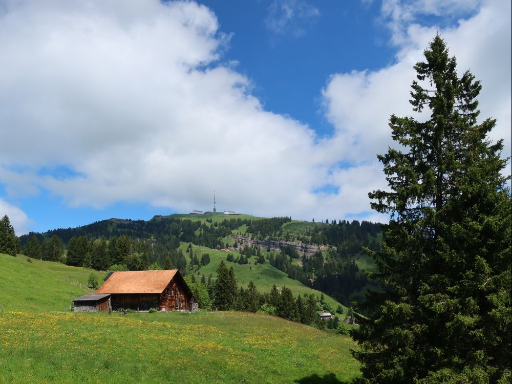 Blick auf Rigi Kulm