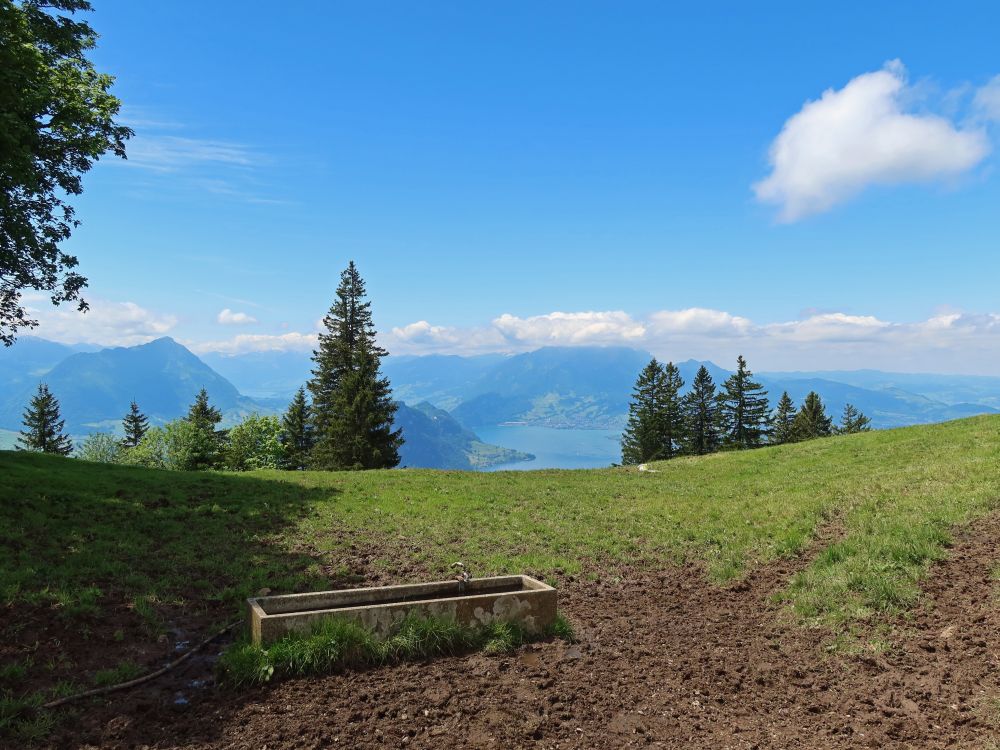 Wassertrog bei Rigi First