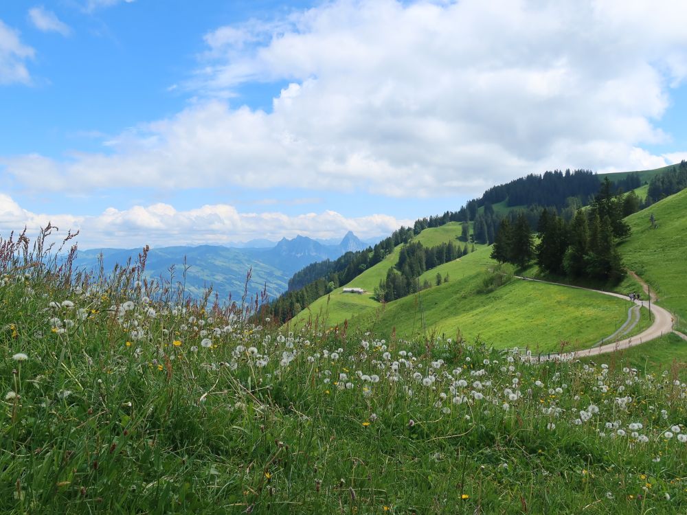 Mythen mit Pusteblumen