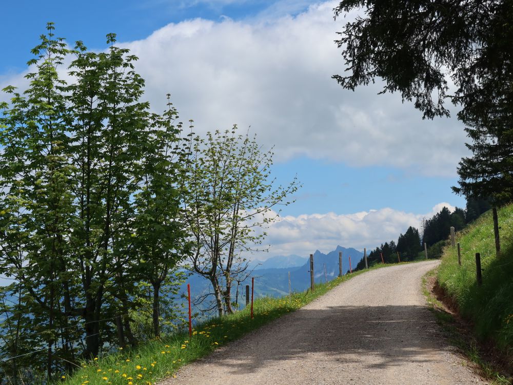 Scheideggstrasse