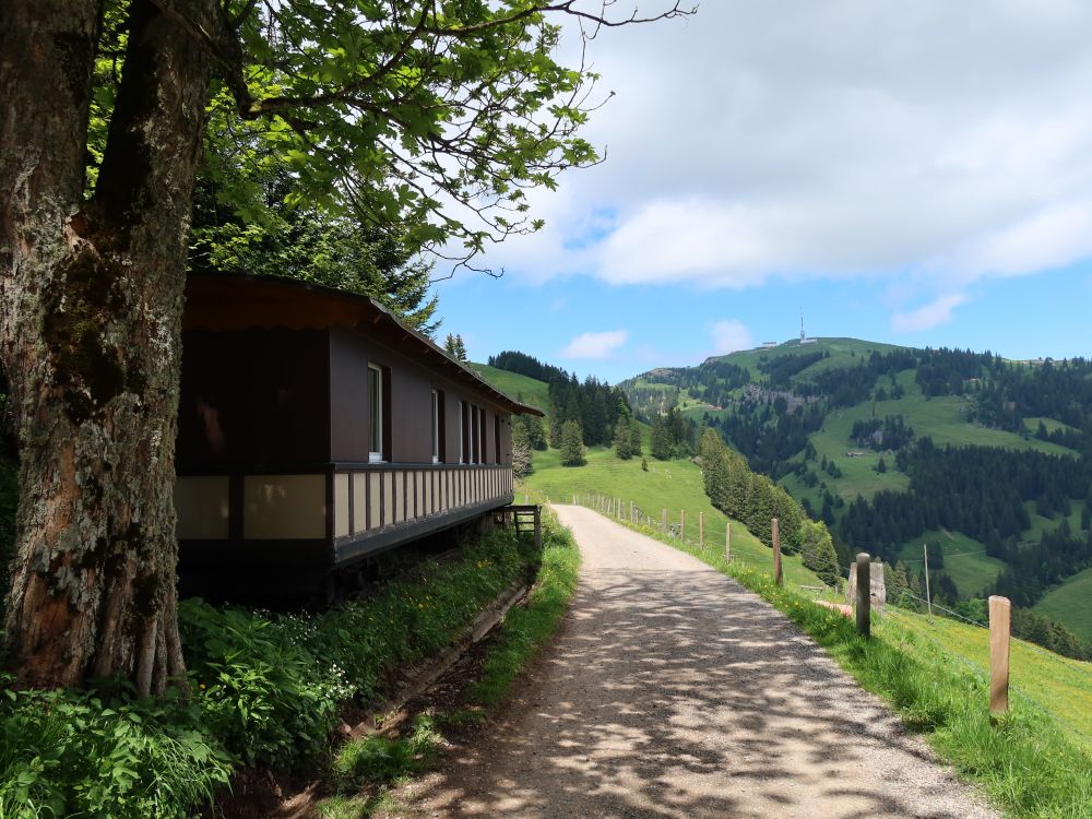 Blick Richtung Rigi Kulm