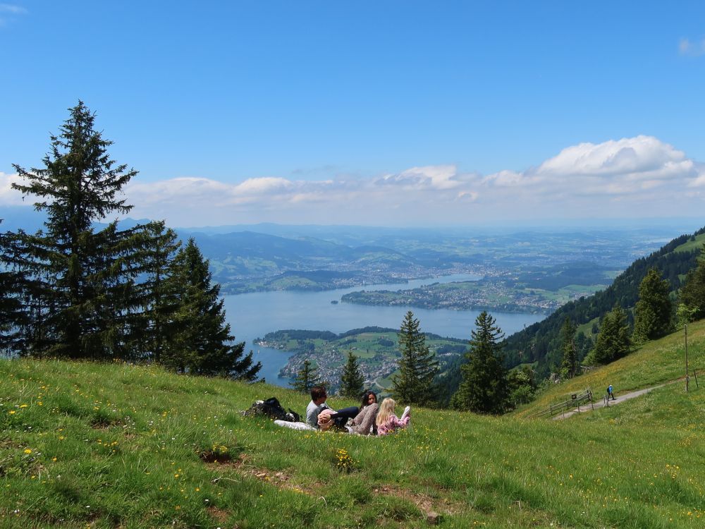 Picknick überm Vierwaldstättersee