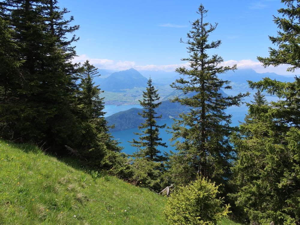 Stanserhorn und Bürgenstock