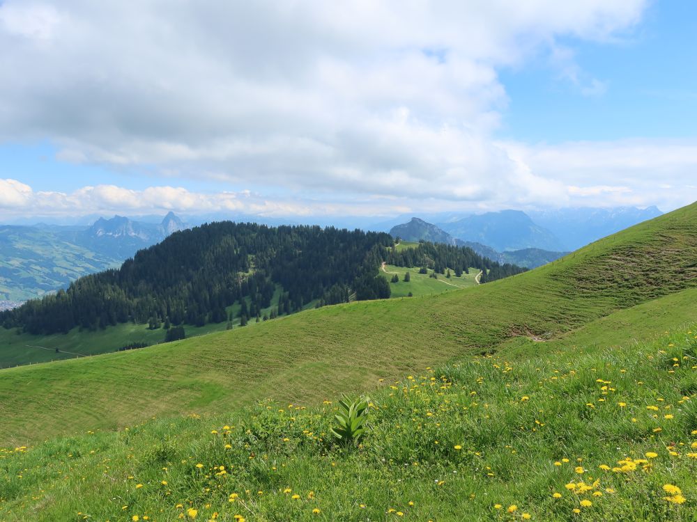 Mythen und Rigi Hochflue