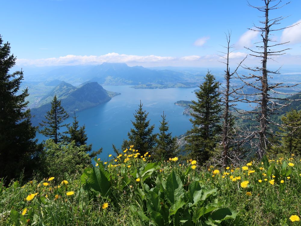 Vierwaldstättersee und Pilatus in Wolken