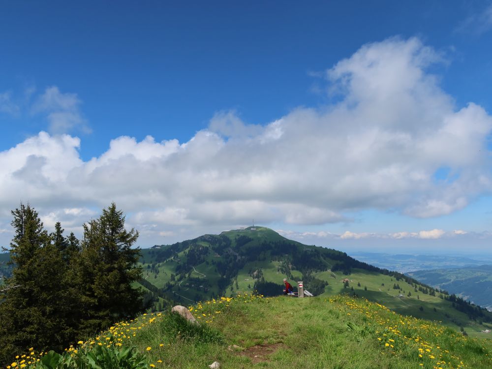 Blick zu Rigi Kulm