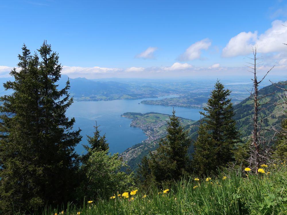 Vierwaldstättersee