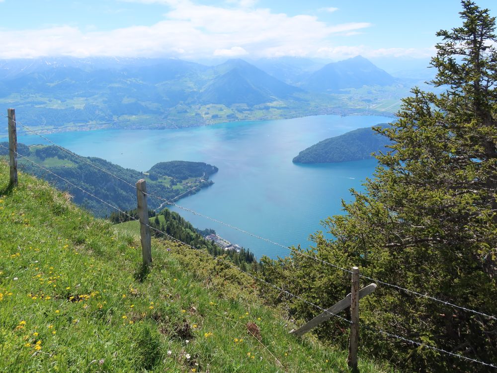 Vierwaldstättersee