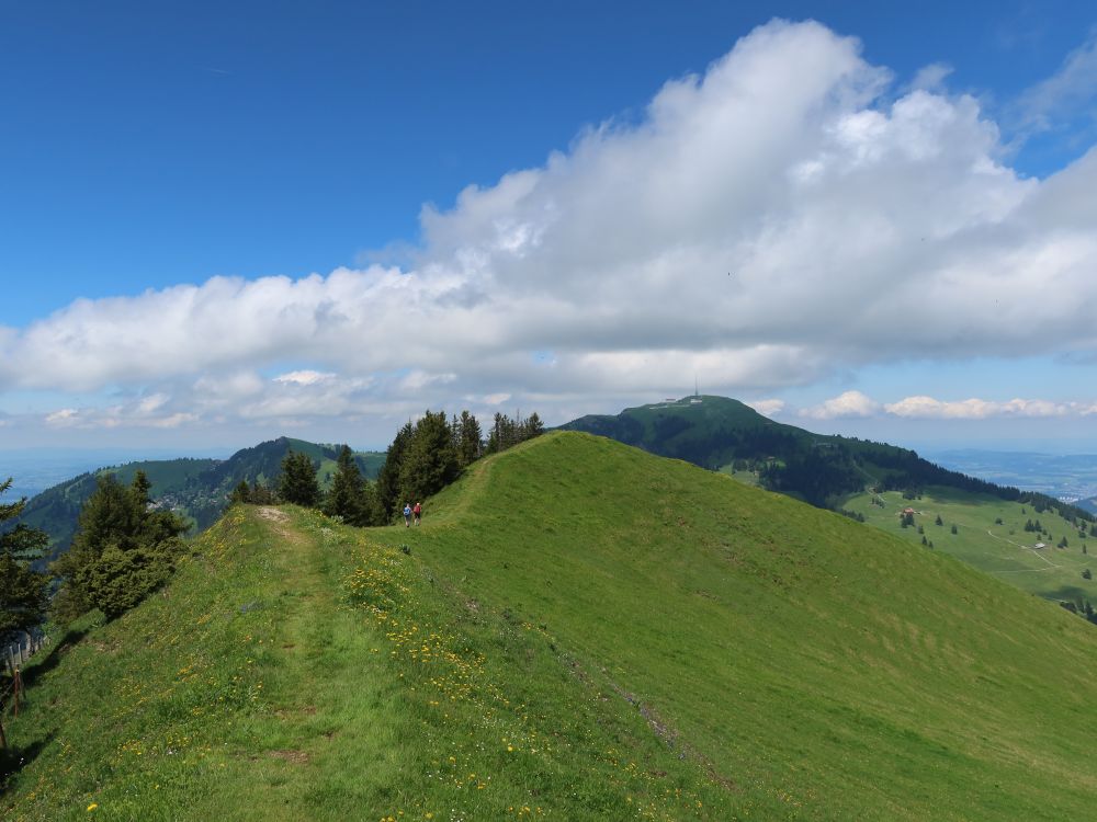 Blick zu Rigi Kulm