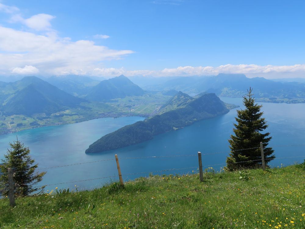 Vierwaldstättersee