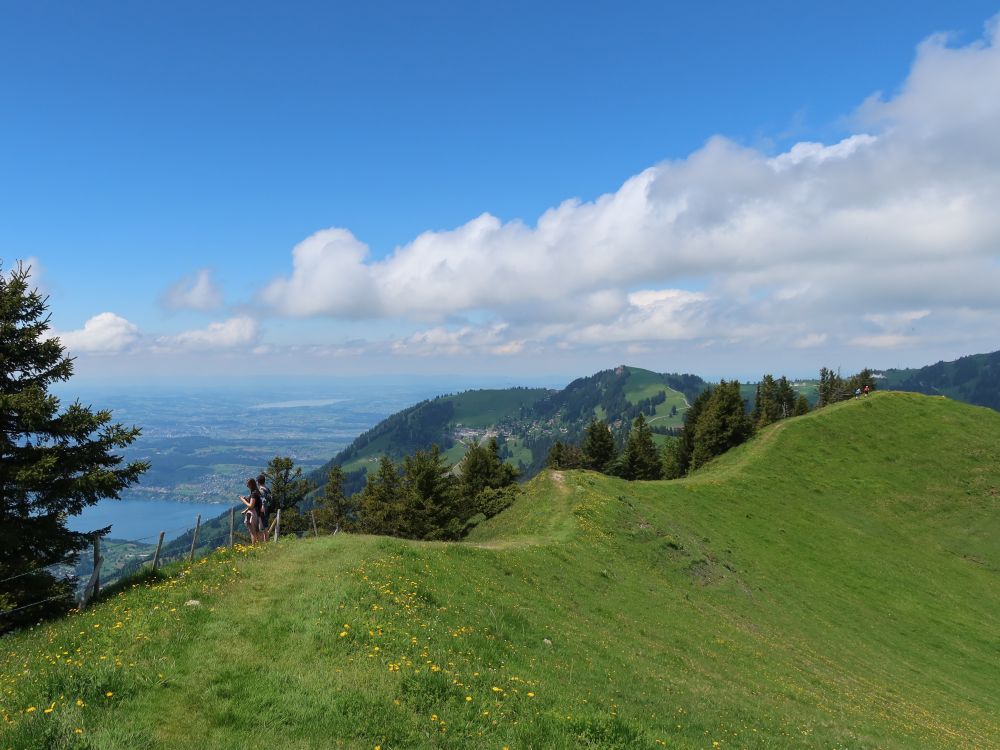 Gipfelgrat am Dossen und Rigi Kaltbad