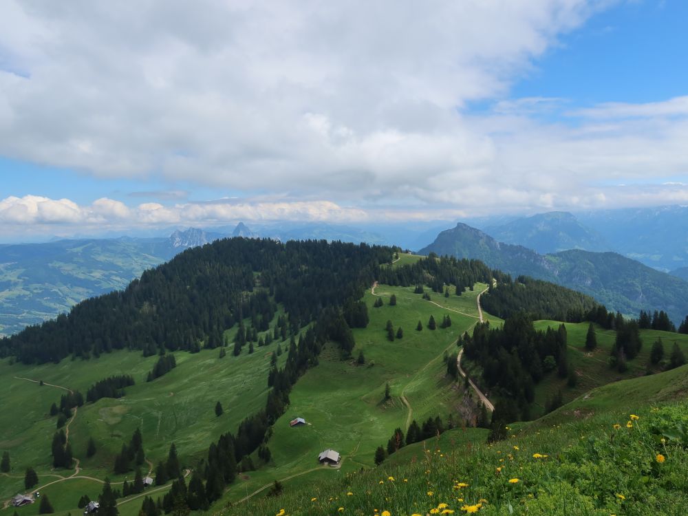 Rigi Scheidegg