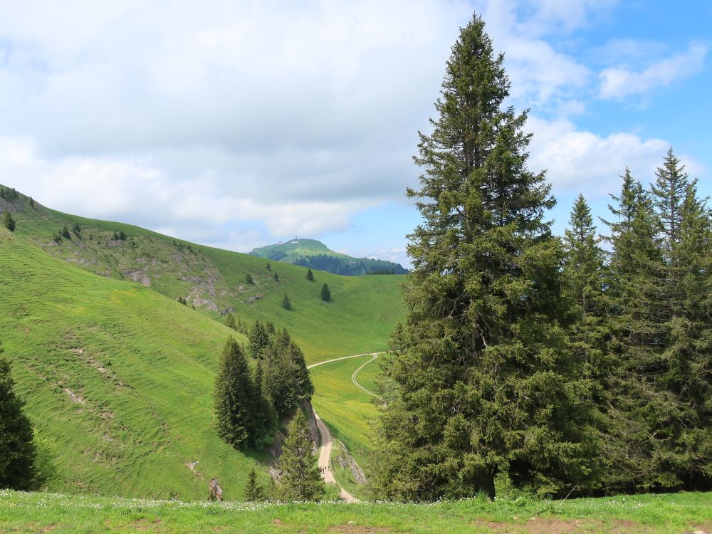 Scheideggstrasse und Rigi Kulm