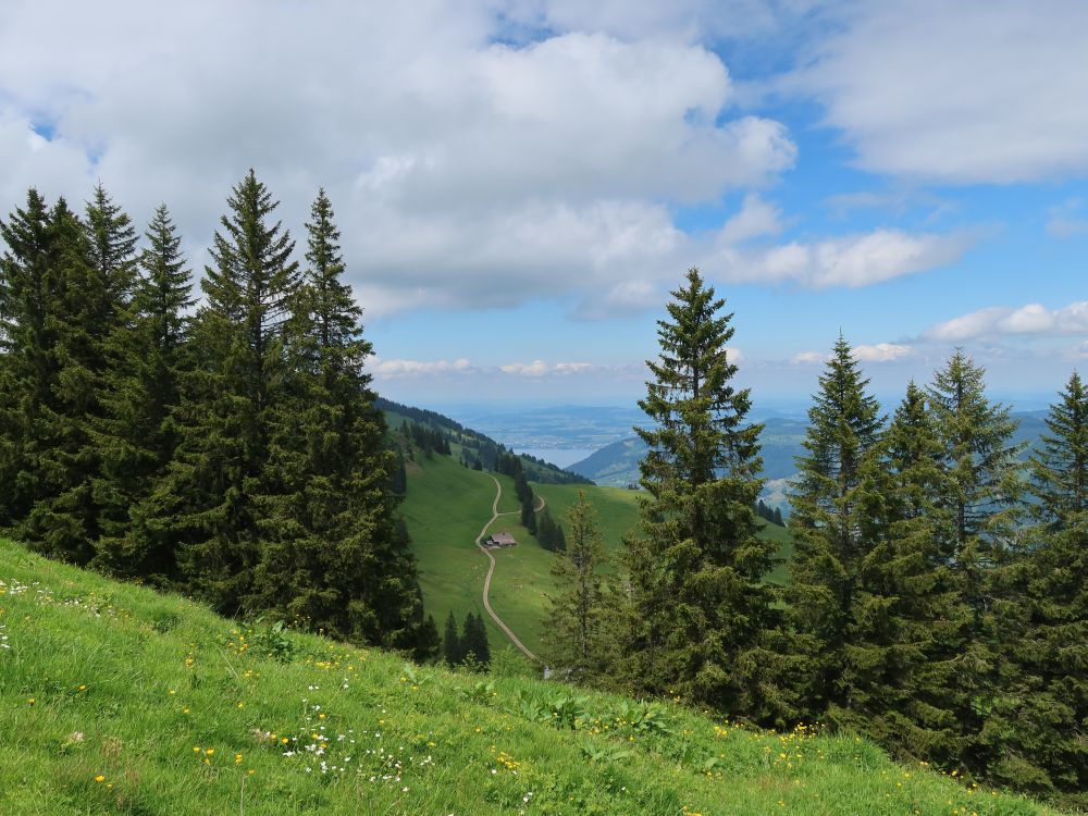 Blick Richtung Zugersee