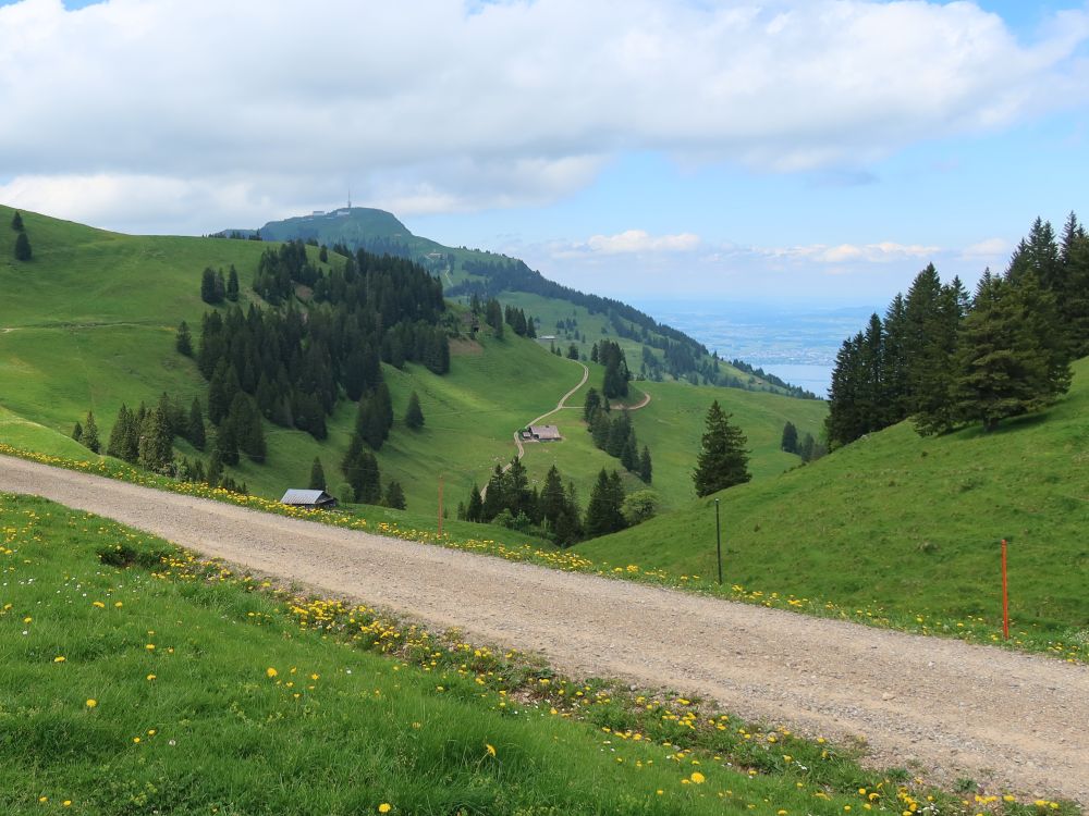 Scheideggstrasse und Rigi Kulm