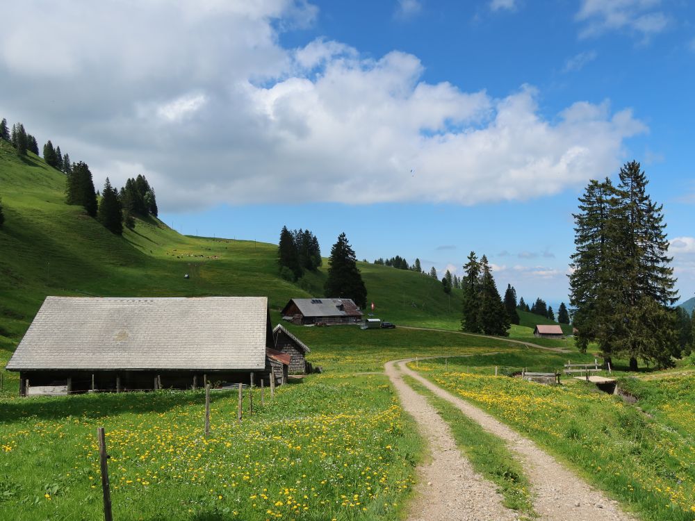 Almen auf Rotenflue