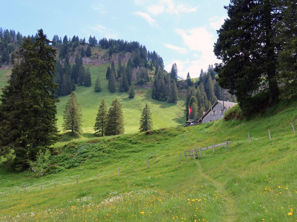 Wiesenpfad auf Rotenflue