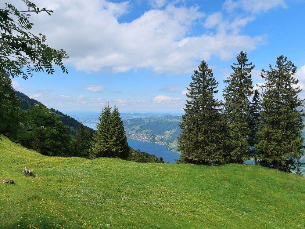 Blick zum Zugersee