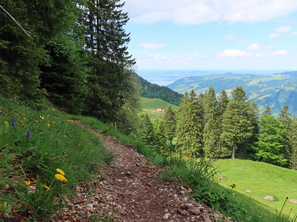 Blick zum Zugersee