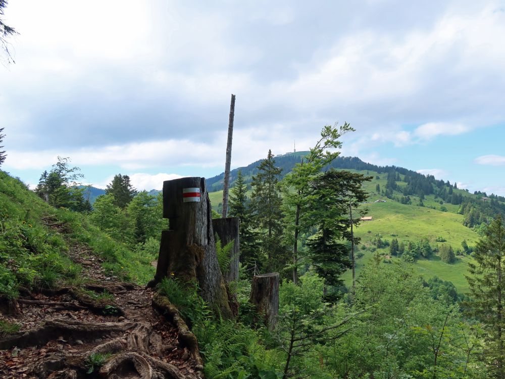 Blick Richtung Rigi Kulm