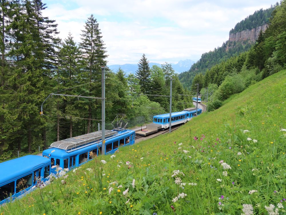 Zahnradbahnen