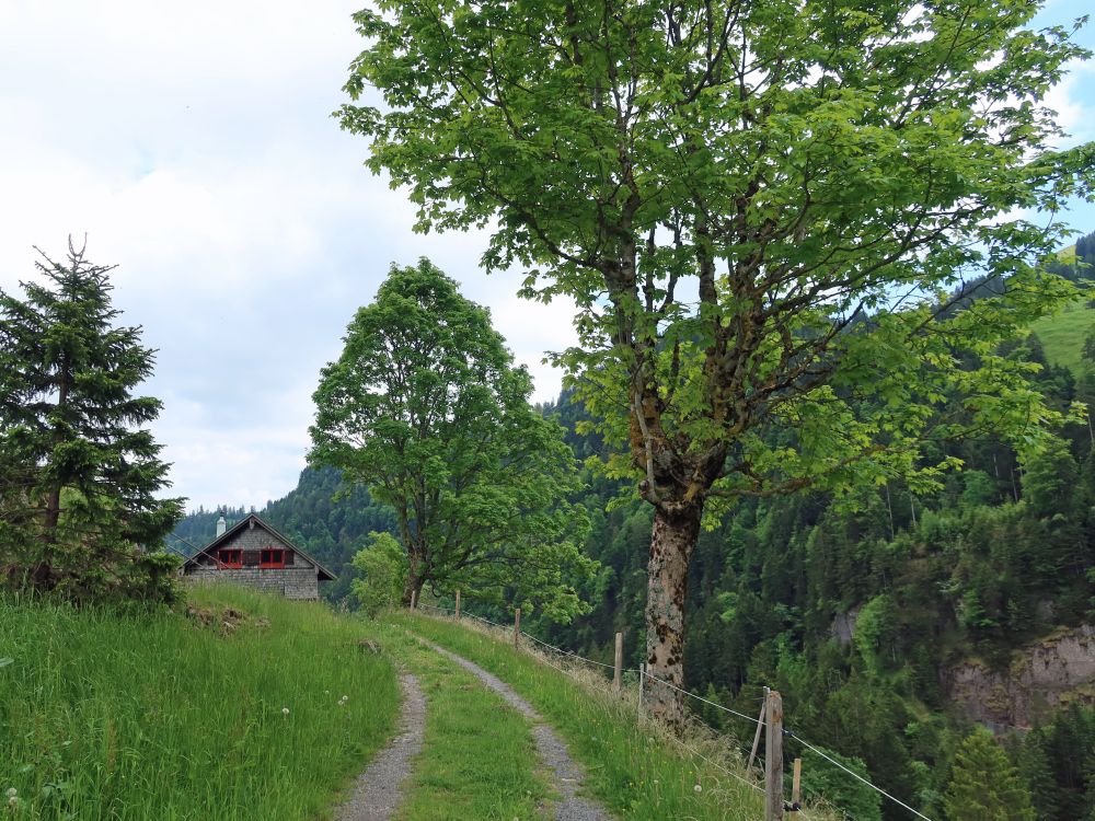 Wanderweg bei der Chruthütte