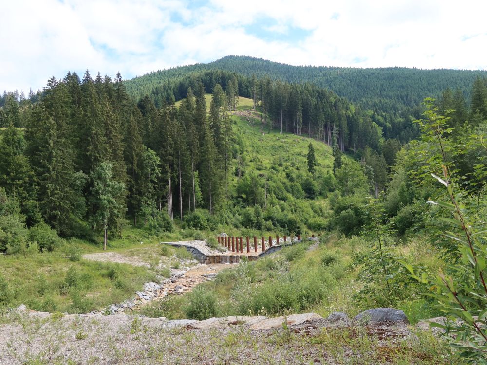 Staustufe an der Grossen Laine