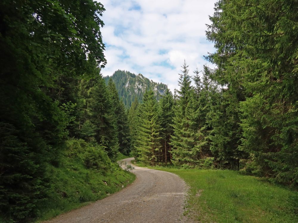 Blick zum Laberköpfl