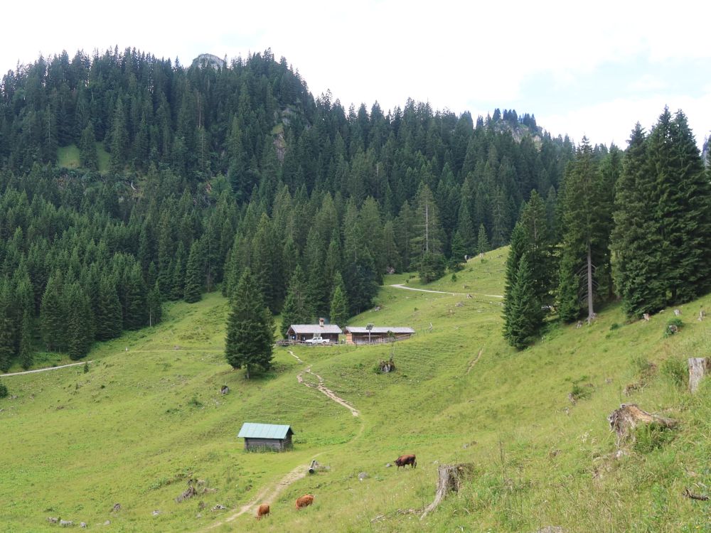 Soila-Alm