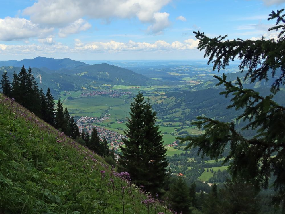 Blick vom Laberberg