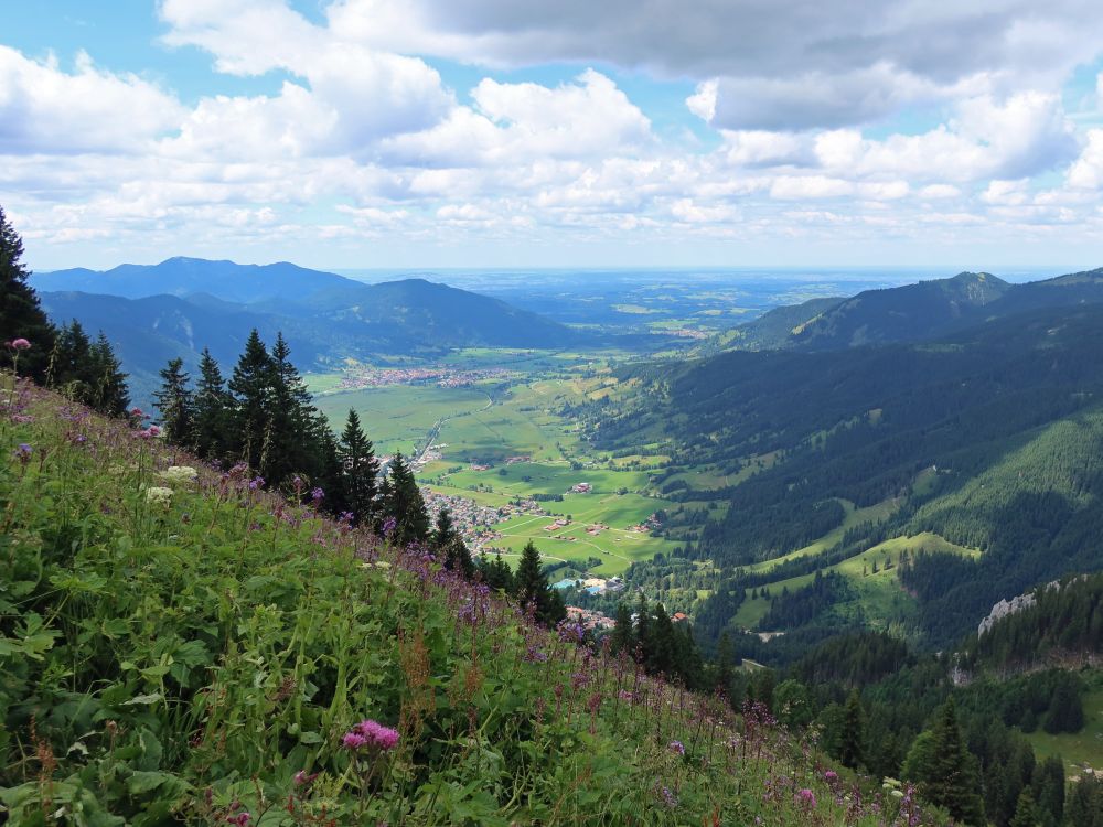 Blick vom Laberberg