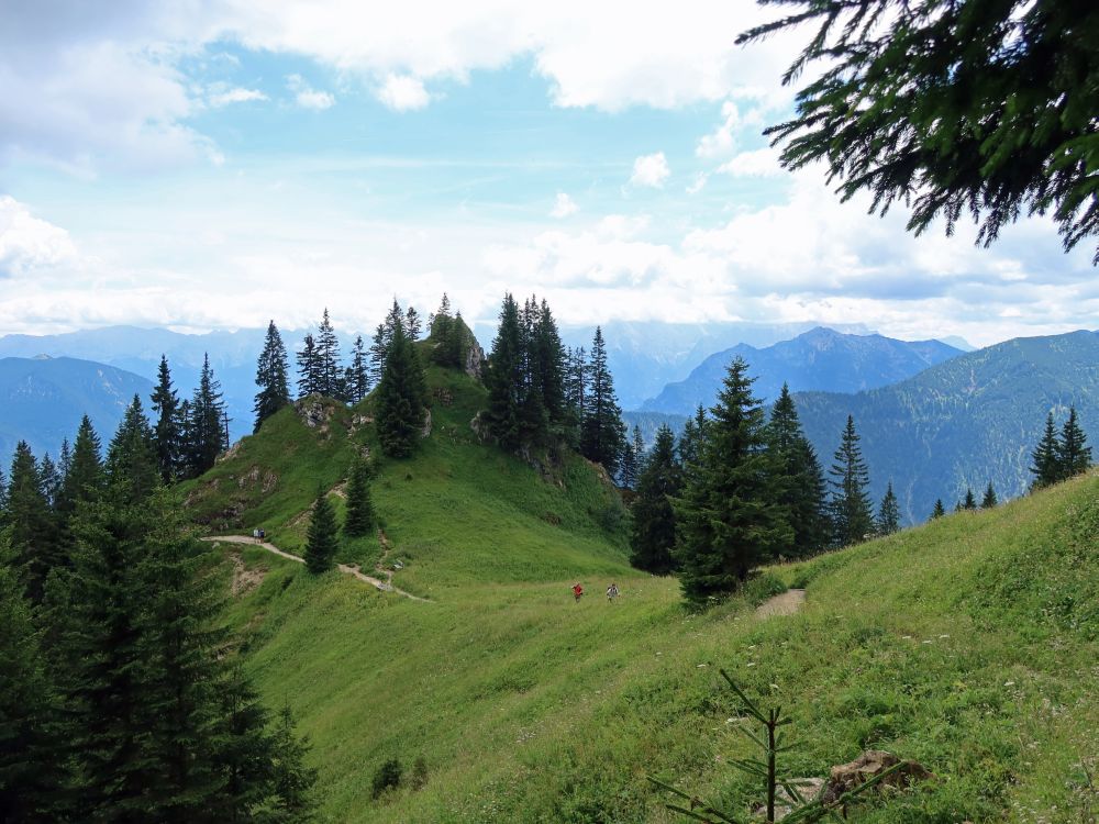Pfad am Laberberg