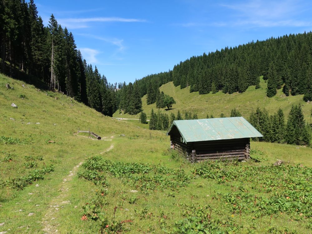 Hütte unterhalb Soila-Alm