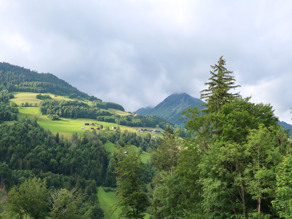 Blick Richtung Türtschhorn