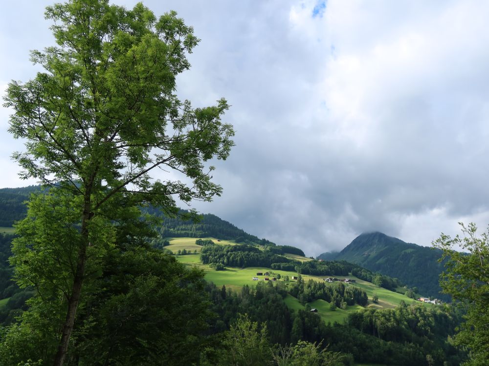 Blick Richtung Türtschhorn