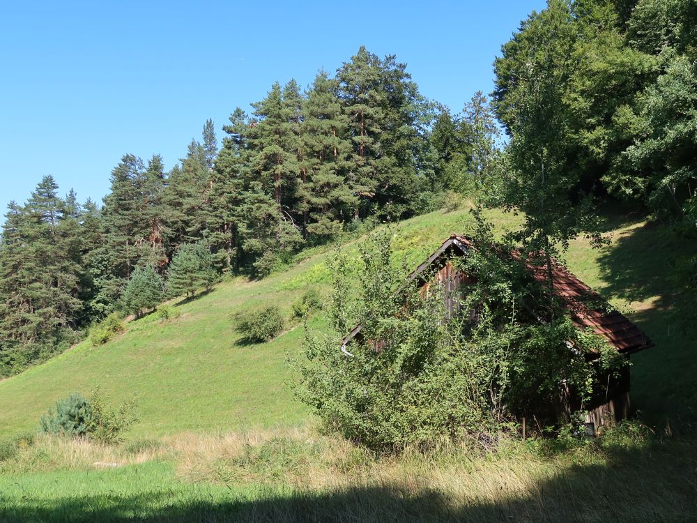 Scheune bei Vogelherd