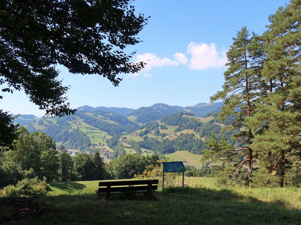 Aussichtspunkt bei Vogelherd