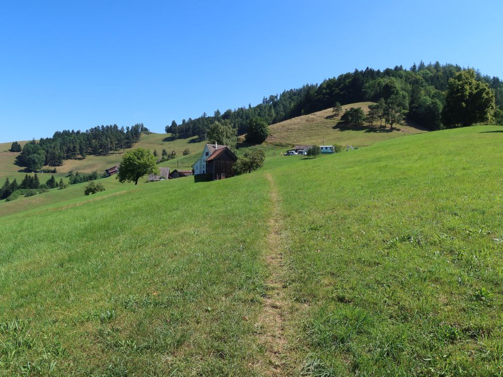 Wiesenpfad nach Graben