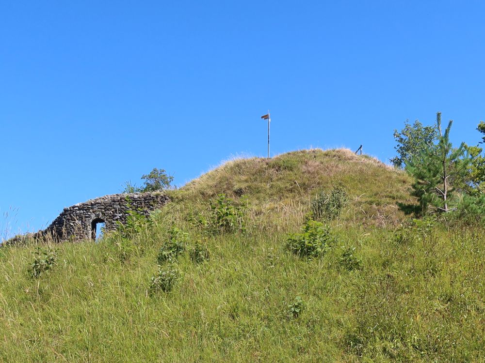 Burgruine Neutoggenburg