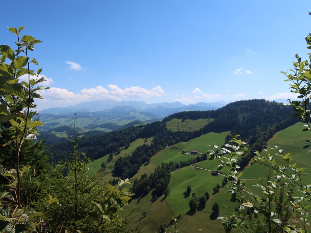 Blick Richtung Alpstein