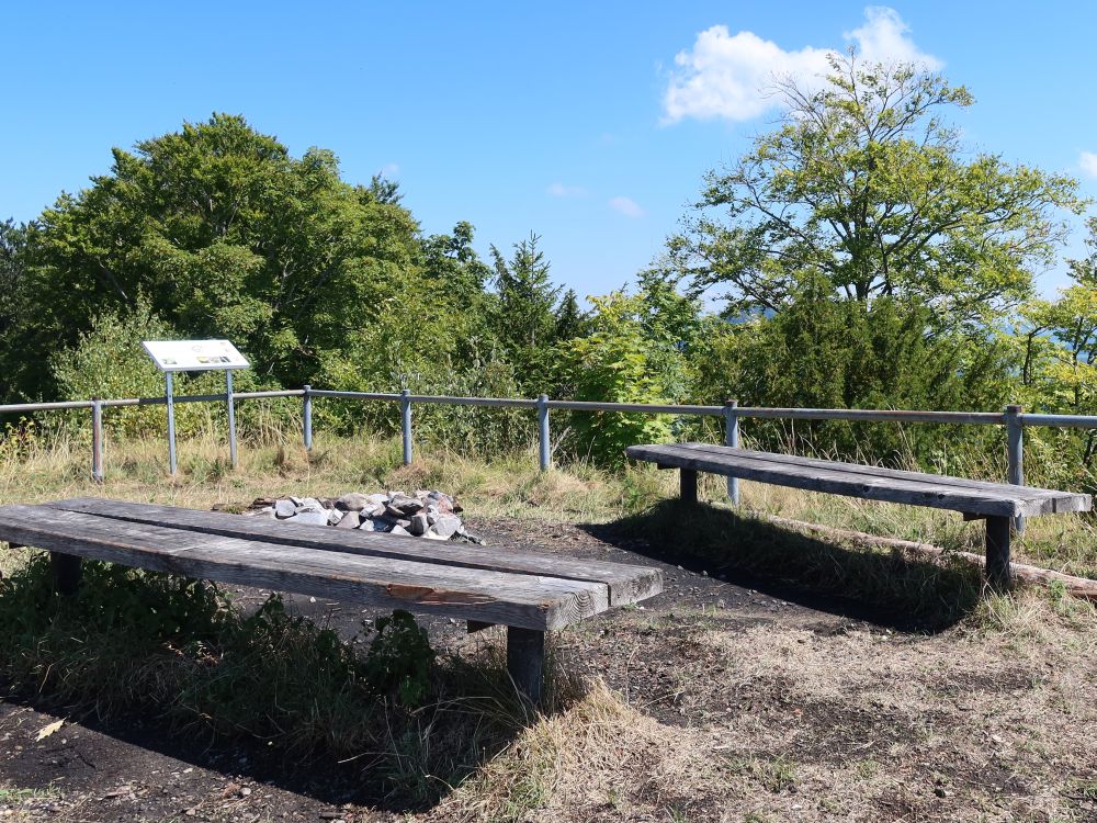 Sitzbänke auf Neutoggenburg