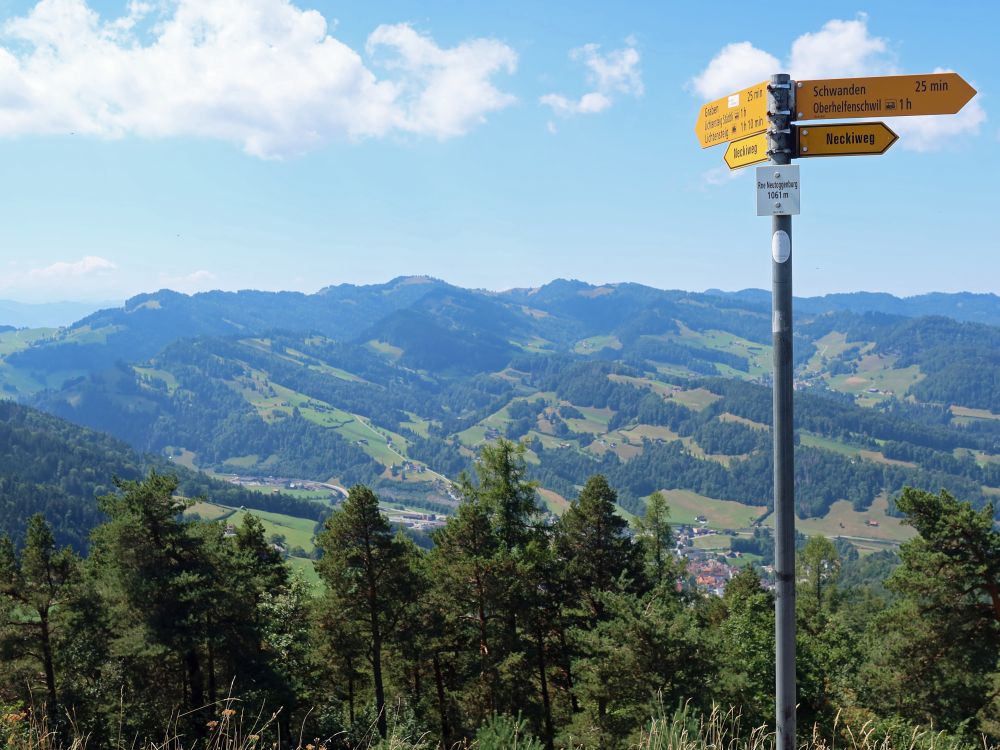 Wanderwegweiser auf Neutoggenburg