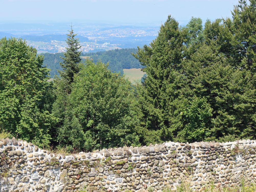 Burgruine Neutoggenburg