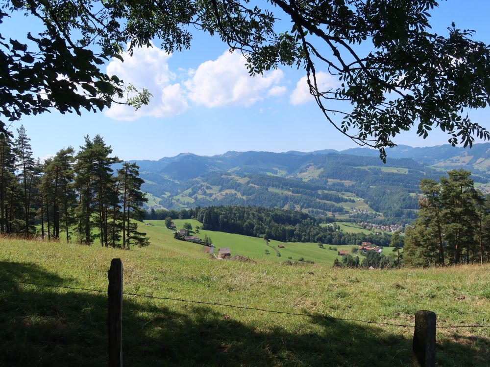 Blick ins Toggenburg