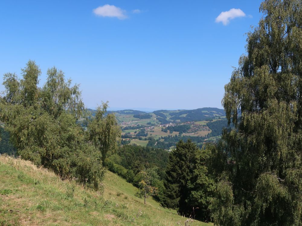 Blick Richtung Mogelsberg