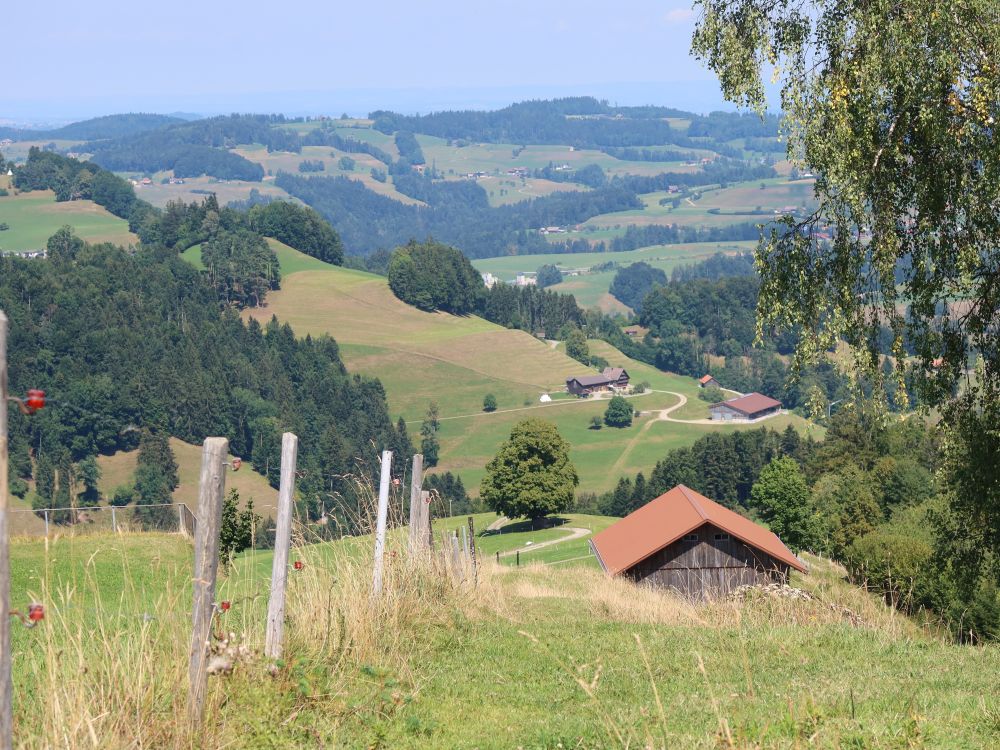 Loch und Oberfeld