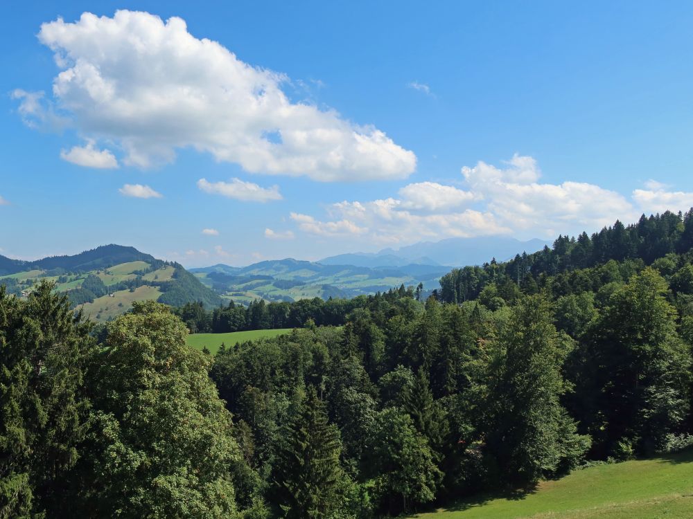 Blick Richtung Alpstein