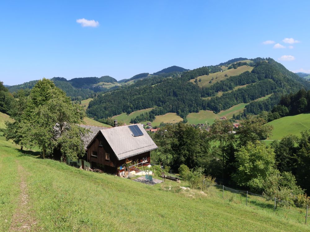 Blick Richtung Wilkethöchi