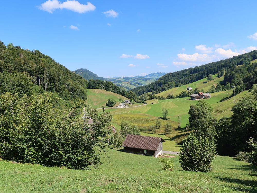 Blick von Wasserfluh nach Osten